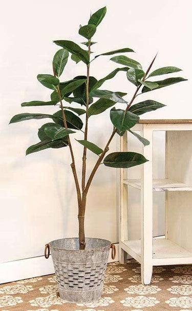 Rubber Tree, 4.5 Ft - The Fox Decor